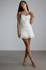 Beverly Floral Applique Pleated Chiffon Mini Dress